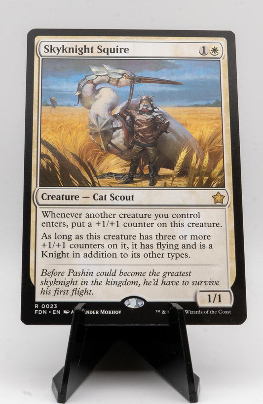 SKYKNIGHT SQUIRE NEAR MINT R 23 FOUNDATIONS